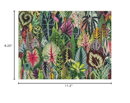 Galison Houseplant Jungle 1000 Piece Jigsaw Puzzle for Adults – Plant Jigsaw Puzzle with Mix of Succulents & Other Household Plants – Fun Indoor Activity, Multicolor Galison