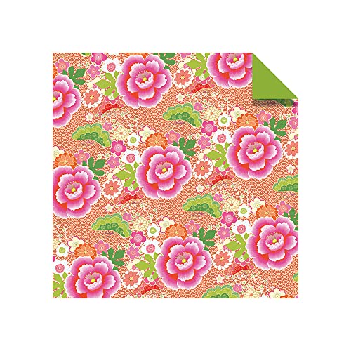 Origami Paper 500 sheets Japanese Washi Patterns 6" (15 cm): Double-Sided Origami Sheets with 12 Different Designs (Instructions for 6 Projects Included) Tuttle Publishing