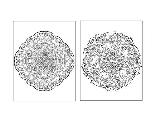 125 Mandalas: An Adult Coloring Book Featuring 125 of the World’s Most Beautiful Mandalas for Stress Relief and Relaxation Independently Published Iaerlllt
