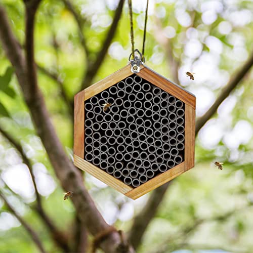 Mason Bee House - Handmade Natural Wooden Bee Hive Coated with Wax for Water-Proof and Long Service Life - Attracts Peaceful Bee Pollinators to Your Garden,Carpenter Bee Houses for Garden POLLIBEE