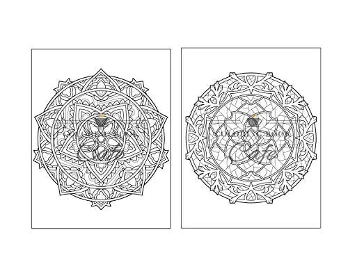 125 Mandalas: An Adult Coloring Book Featuring 125 of the World’s Most Beautiful Mandalas for Stress Relief and Relaxation Independently Published Iaerlllt