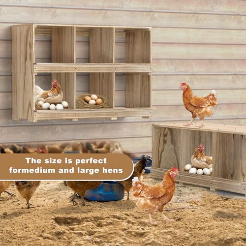 Nesting Boxes for Chickens Coop, Wooden Hens Nesting Eggs Laying Box, Chicken Nesting Boxes Wall-Mounted 6 Compartment WISDOMRAINBOW