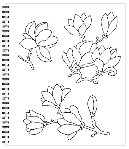 Large Print Easy Color & Frame - Calm (Stress Free Coloring Book) New Seasons