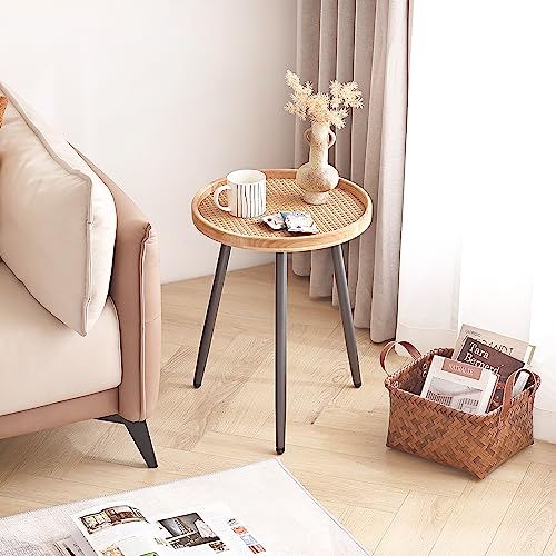 LITA Rattan Log Desktop Round Side End Table, Nightstand/Small Tables, Indoor Outdoor Wooden Tray Table with Metal Stand End Table for Living Room Bedroom Office Small Spaces LITA
