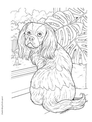 Creative Haven The Dog Lovers' Coloring Book (Adult Coloring Books: Pets) WoodArtSupply