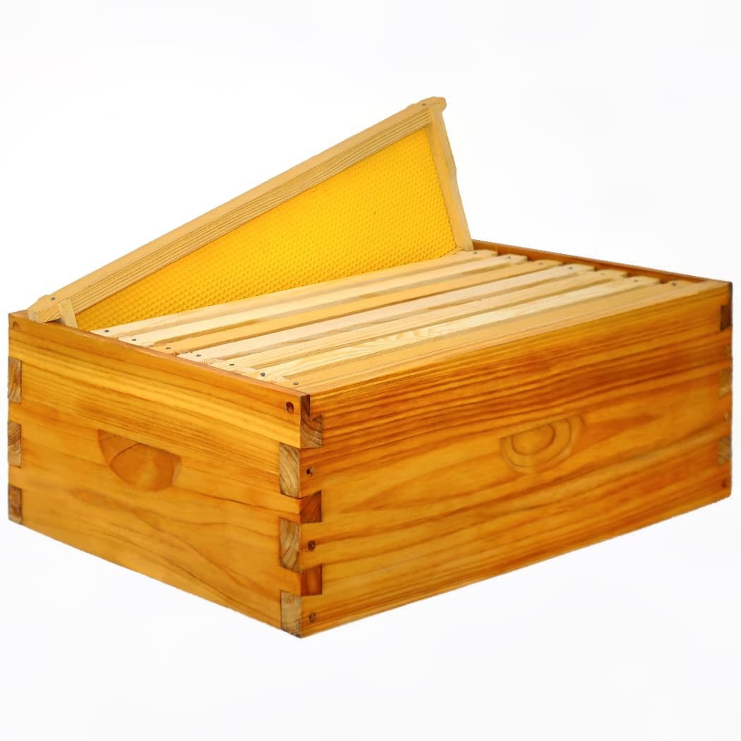 Honey Lake 8 Frame Assembled Bee Hive Super Box, Langstroth Beehive Starter Kit for Beekeepers, Medium Super Bee Box Dipped in 100% Beeswax Includes Beehive Frames and Waxed Foundations Honey Lake