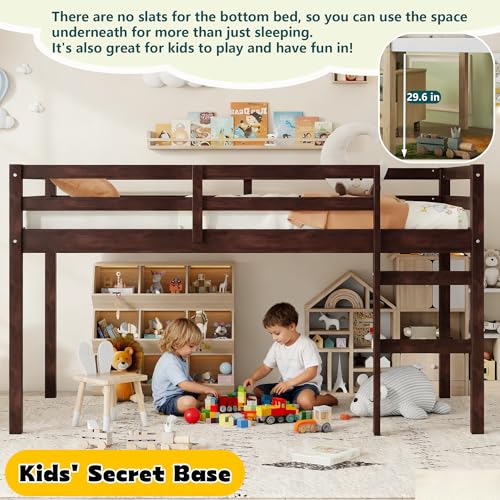 Mirightone Low Loft Bed Twin Size, Wood Junior Loft Bed Frame with Ladder for Kids Girls Boys Teens, Solid Rubberwood, Espresso Mirightone