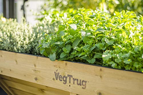 VegTrug VTNMD 0367 USA 1.8m Raised Planter, large, Natural VegTrug