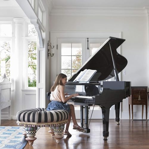 FameFame Solid Wood Piano Caster Piano Leg Floor Protectors, 3-Pack Grand Piano Caster Cups with Non-Slip & Anti-Noise Foam (Black) FameFame