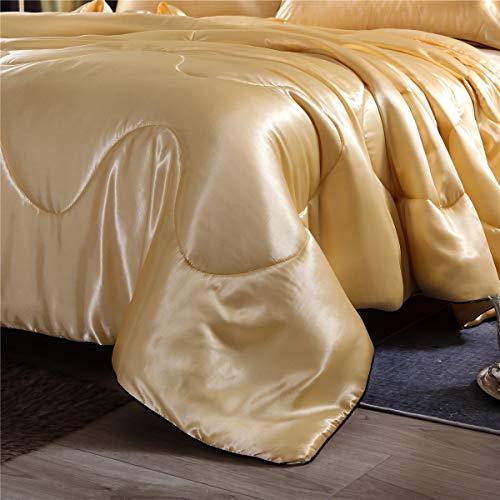 NTBED Sexy Silky Satin Comforter Sets Queen Golden Lightweight Soft Luxury Quilt 3-Pieces Microfiber Bedding Set Yellow (Gold, Queen) NTBED