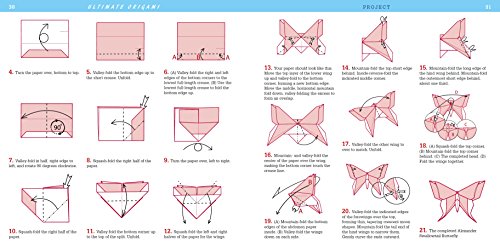 Ultimate Origami for Beginners Kit: The Perfect Kit for Beginners-Everything you Need is in This Box!: Kit Includes Origami Book, 19 Projects, 62 Origami Papers & Video Instructions Tuttle Publishing