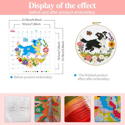 Zhenqing Collie Dog Cross Stitch Kit with Floral Garden, 11CT Printed 24x24cm, Beginner Embroidery Set Including 20cm Hoop(70795)