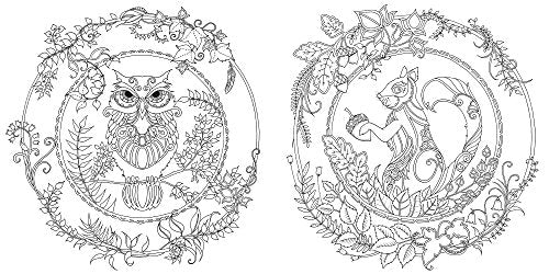 Enchanted Forest: An Inky Quest and Coloring book (Activity Books, Mindfulness and Meditation, Illustrated Floral Prints) Laurence King Publishing