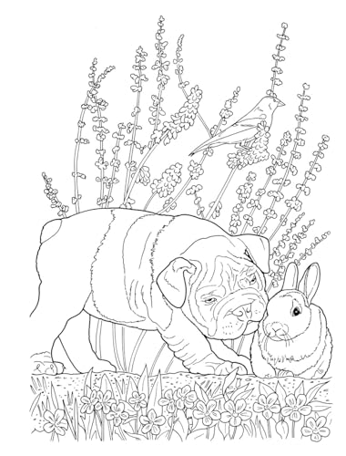 Creative Haven Lovable Cats and Dogs Coloring Book: Relax & Unwind with 31 Stress-Relieving Illustrations (Adult Coloring Books: Pets) Dover Publications