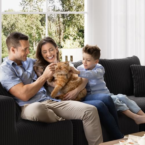 Novilla Modular Sectional Sofa, Modern Cloud Sectional Couch with Smarts Coil™ Support, Upholstered Boneless Couch for Living Room Apartments Bedroom, No Assembly Required (3 Seater) Novilla