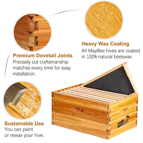 MayBee 10-Frame Beehive Box Langstroth Deep Brood Box Dipped in 100% Beeswax Includes Wooden Frames & Waxed Foundations (Unassembled) MayBee