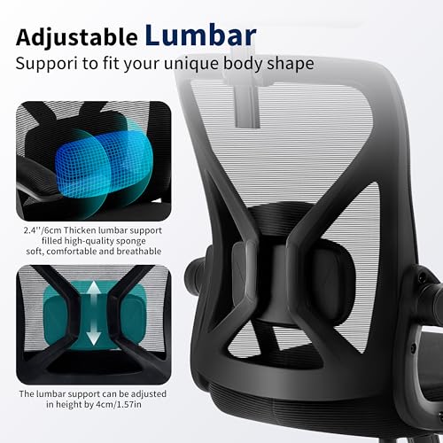 Nexthro Office Chair,Ergonomic Desk Chair with Adjustable Lumbar Support,400 Lbs Mesh Computer Chair High Back with Headrest for Home Office (Black) Nexthro