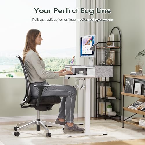 Homall Electric Standing Desk with 2 Drawers, Adjustable Height Computer Desk with Storage Sit Stand Table with Storage Shelf and Splice Board Quick Install for Home Office (White, 48 Inch) Homall
