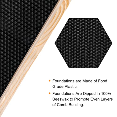 MayBee 10-Frame Beehive Box Langstroth Deep Brood Box Dipped in 100% Beeswax Includes Wooden Frames & Waxed Foundations (Unassembled) MayBee