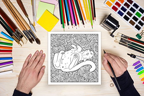 Cat Butt: An Off-Color Adult Coloring Book for Cat Lovers FILLBOSS
