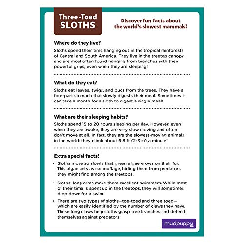 Mudpuppy Three-Toed Sloth Mini Puzzle, 48 Pieces, 8” x 5.75” – Perfect Family Puzzle for Ages 4+ – Jigsaw Puzzle Featuring a Colorful Illustration of a Sloth, Informational Insert Included Mudpuppy