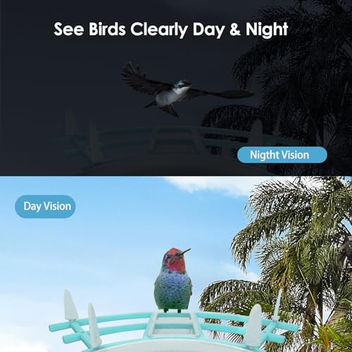 Gyozol Smart Bird Feeder with Camera, AI Identify Bird Breed, Solar-Powered WiFi 1080P Live Camera, Auto Capture Backyard Garden Bird Watching, Gyozol