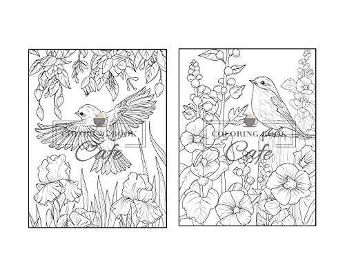 Songbirds Coloring Book: An Adult Coloring Book Featuring Beautiful Songbirds, Exquisite Flowers and Relaxing Nature Scenes Majosta