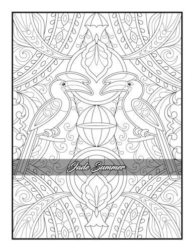 100 Amazing Patterns: An Adult Coloring Book with Fun, Easy, and Relaxing Coloring Pages LSC Communications