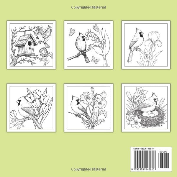 Cardinals Bird Coloring Book: Beautiful Birds and Flowers Coloring Book For all ages Beginner Women and Men Girls 31 Easy and Simple, Stress Relieving And Relaxation Majosta