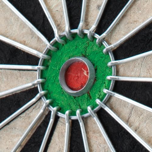 Viper by GLD Products Shot King Regulation Bristle Steel Tip Dartboard Set with Bullseye Metal Radial Spider Wire Compressed Sisal Board with Rotating Number Ring Includes 6 Darts Black Viper