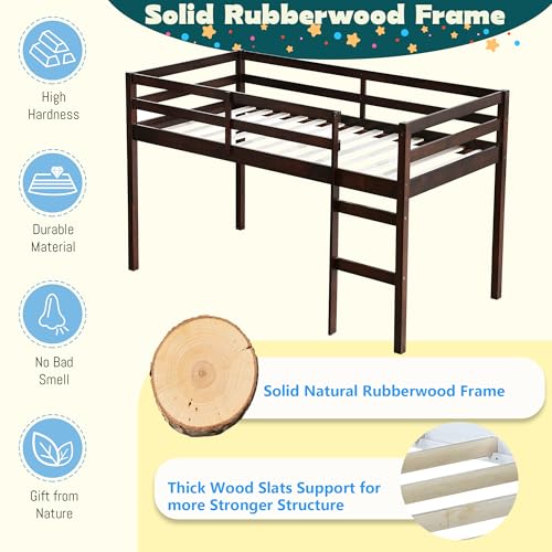 Mirightone Low Loft Bed Twin Size, Wood Junior Loft Bed Frame with Ladder for Kids Girls Boys Teens, Solid Rubberwood, Espresso Mirightone