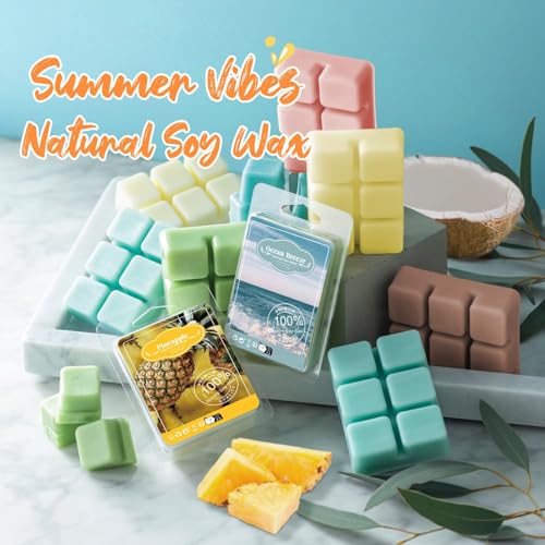 PCREGPAE Thickened Wax Melt Molds Containers Clamshells Packaging for Wax Melts,Wax Tart Packaging for Enterprises or Households,Wax Seal Mold,Scentsy Wax Melts,Soy Wax,Wax Melt Warmer (30pcs)