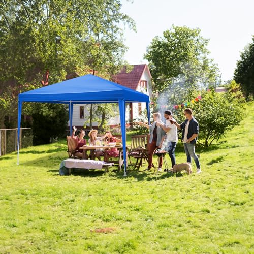 10'x10' Party Tent Outdoor Event Tents with 4 Removable Sidewalls, Large Event Tent Canopy Waterproof for Parties Patio Birthday All Season Outdoor Blue Gainvieyee