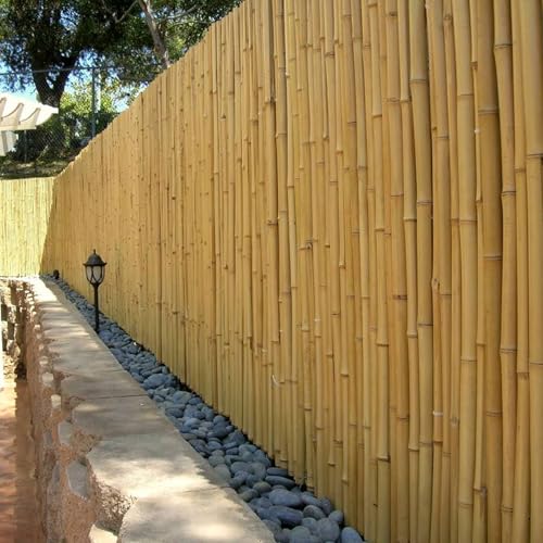 Backyard X-Scapes Natural Bamboo Fencing 6 feet High Outdoor Decorative Rolled Fence Panel 6 ft H x 4 Ft L x 1 in D Backyard X-Scapes