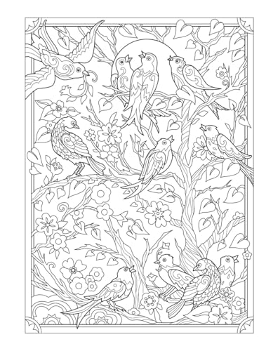 Creative Haven Birds and Blossoms Coloring Book (Adult Coloring Books: Animals) Dover Publications