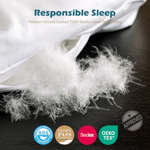 Cobnom® Organic Cotton Down Comforter Queen Size - Fluffy High Fill-Power Down & Feather Fibers Duvet Insert, All-Season Hypoallergenic Hotel-Style Bedding (Ivory White 90x90 Inch) Cobnom
