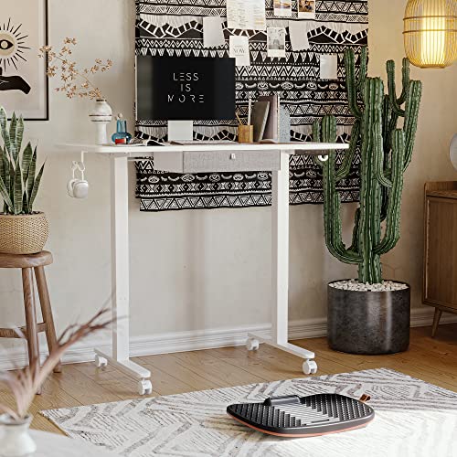 FEZIBO 48 x 24 Inches Standing Desk with Drawer, Adjustable Height Electric Stand up Desk with Storage, Sit Stand Home Office Desk, Ergonomic Computer Desk, White FEZIBO