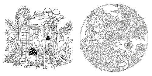 Enchanted Forest: An Inky Quest and Coloring book (Activity Books, Mindfulness and Meditation, Illustrated Floral Prints) Laurence King Publishing