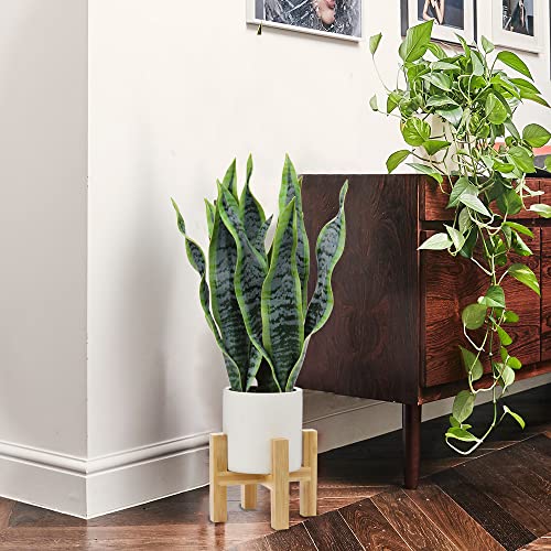 Hollyone Artificial Snake Plant Potted with Solid Wood Plant Stand, 19" Faux Sansevieria Tropical White Ceramic Pots Fake Plants for Home Office Indoor Decor Housewarming Gift Hollyone
