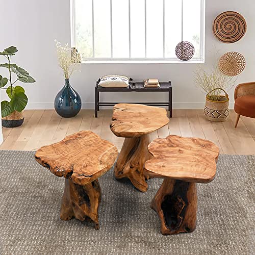 Warmaxx Natural Irregular Shape Tree Stump End Table Plant Stand 14"x13"x18"H Solid Cedar Wood Outdoor Rustic Sit Foot Stools Live Edge Coffee Side Table Living Room Bedroom Outdoor Garden Warmaxx