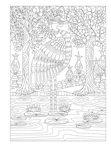 Creative Haven Fanciful Birds Coloring Book (Adult Coloring Books: Animals) Dover Publications