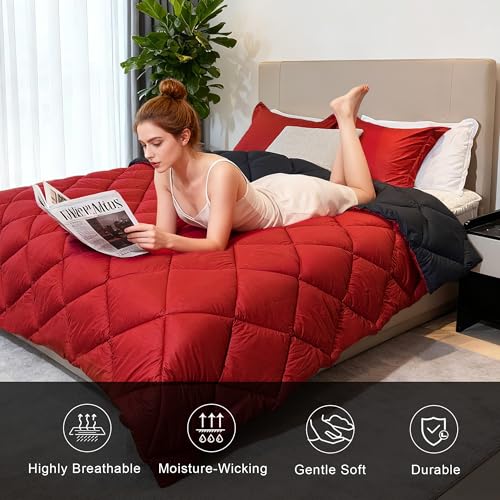 WQSPRING Queen Size Comforter Set, Reversible 3 Pieces Lightweight Soft Bedding Set for All Season, Premium Bed in a Bag Includes 1 Comforter (90"x90") and 2 Pillowcase (20"x26") WQSPRING