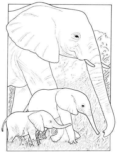 Baby Animals Coloring Book (Dover Coloring Books) Dover Publications