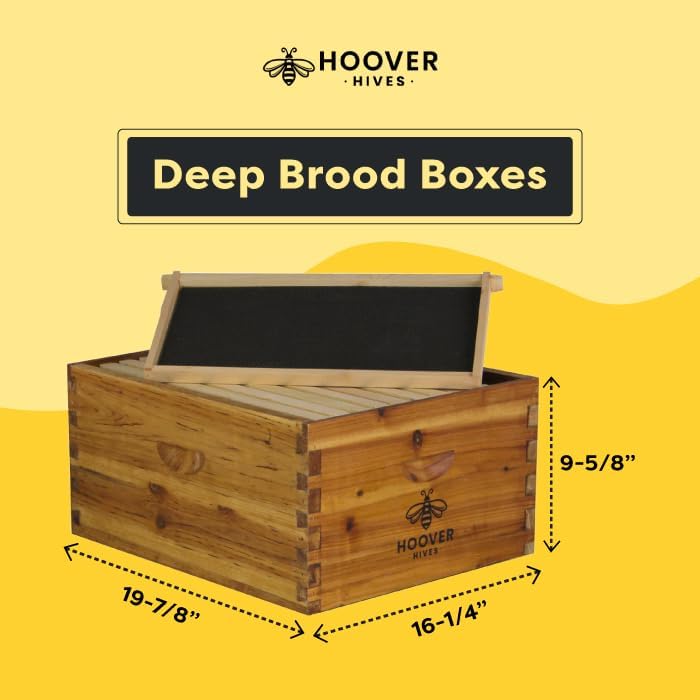 Hoover Hives: The Original Beeswax Coated Beehive Kit. Includes 2 Deep & 1 Medium Boxes with Wooden Frames & Heavy Wax Coated Foundations. Easy Assembly with Predrilled Holes & Screws (Unassembled) Hoover Hives