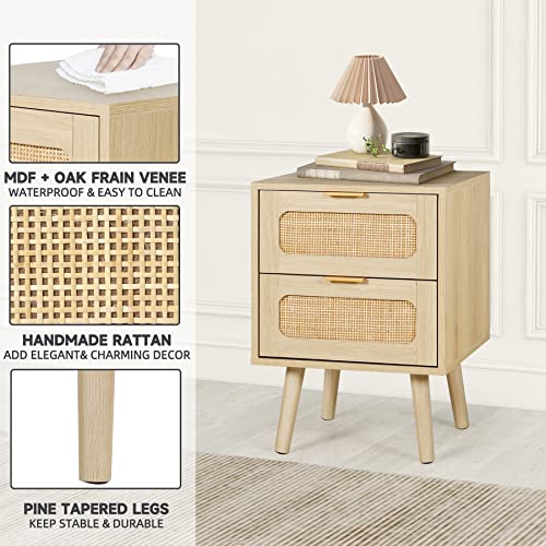 LAZZO Set of 2 Nightstands Wooden Night Stands with Rattan Drawers Home Bedside End Table for Bedroom (2 Drawers Design) LAZZO