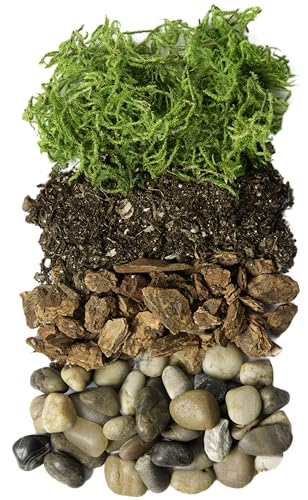 Portland Terrarium kit - DIY Mason Jar Terrarium Kit SuperMoss