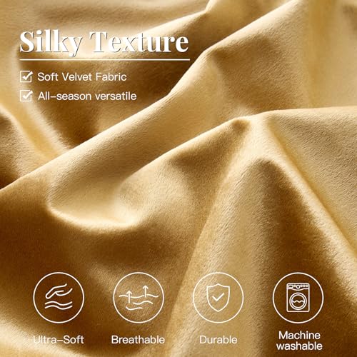 MUSSEL Bedding Comforter Set Queen Size 3 Pieces-Luxury Shiny Gold Striped Lightweight Bedroom Comforter Queen Size,Soft Velvet Bed Set with 2 Shams MUSSEL