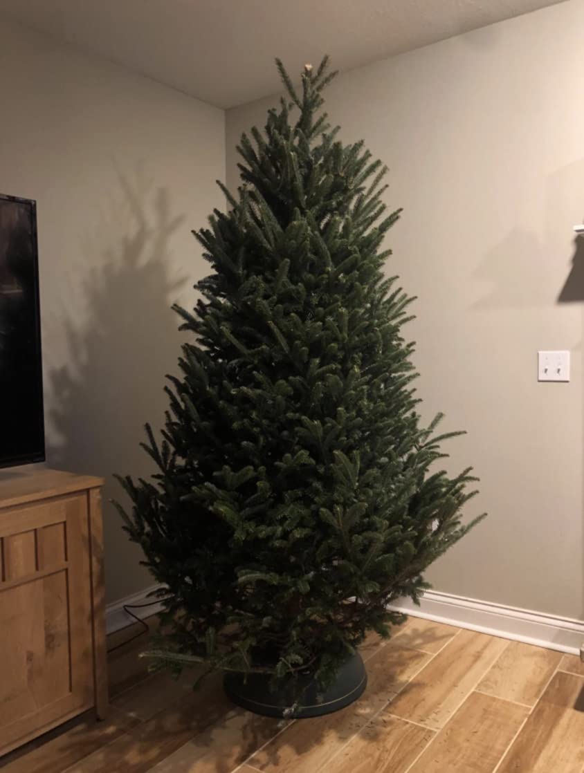 Rocky Mountain Goods Christmas Tree Stand for Live Tree with Water - Up to 8 Foot Tree - 5 Secure Eye Bolts - Steel Spike for Stability - Easy Watering for 2 Gallons - Install Real Tree in Minutes Rocky Mountain Goods