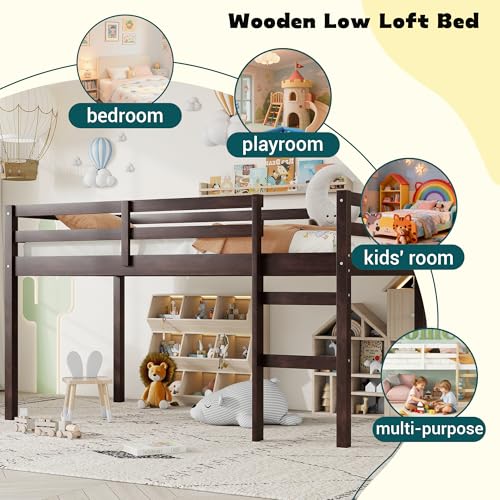 Mirightone Low Loft Bed Twin Size, Wood Junior Loft Bed Frame with Ladder for Kids Girls Boys Teens, Solid Rubberwood, Espresso Mirightone