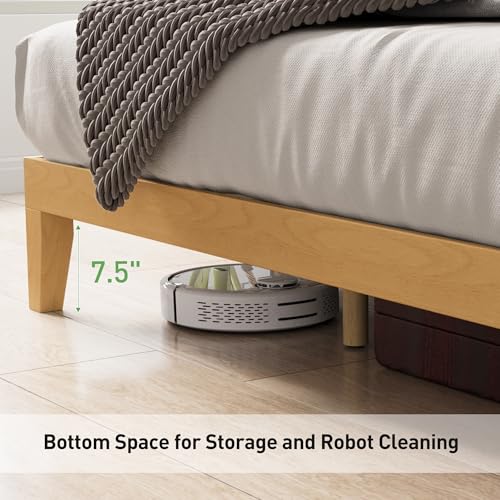 COLAMY 12 Inch King Size Platform Bed Frame,Sturdy Wood Bed Frame with Wood Slat Support, No Box Spring Needed, Easy Assembly(Rustic Pine) COLAMY